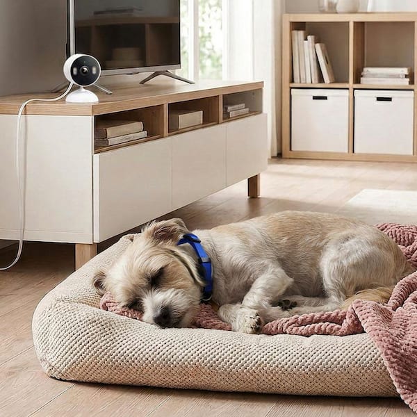 TP-LINK Tapo 2k Indoor/Outdoor Plug-In Security Camera with SD