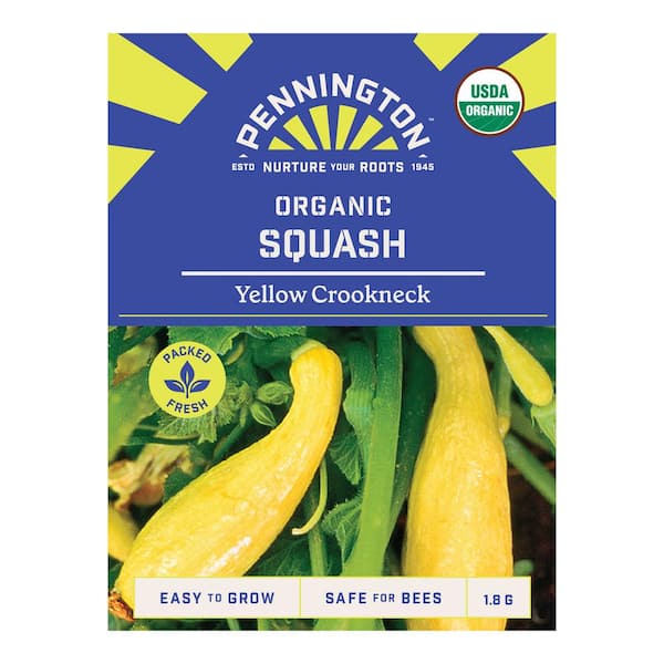 Pennington Organic Squash Yellow Crookneck Fruit Seed