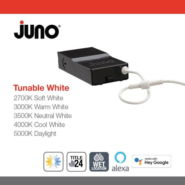 Juno Contractor Select 4 in. Tunable CCT New Construction Canless Smart  Integrated LED Recessed Light Kit w/ Matte White Trim WF4C RD TUWH MW M6 -  The Home Depot