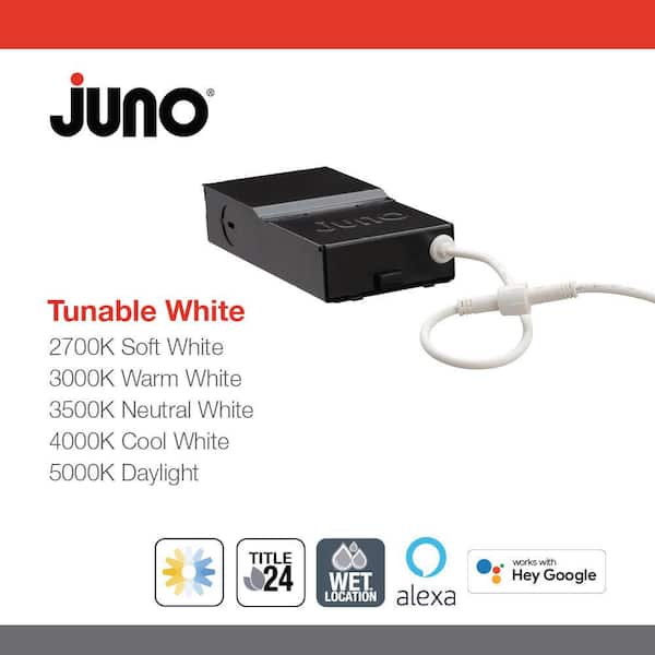 Juno 4 Inch Direct Wire Led Downlight, Adjustable Trim, Matte White