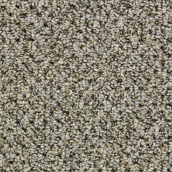 Beaulieu Carpet Sample - Devon - In Color Herringbone 8 in. x 8 in.