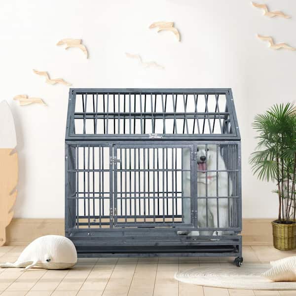 Pet Essentials Wire Dog Crate Medium 3-ft L x 2-ft W x 2.2-ft H in the  Crates & Kennels department at