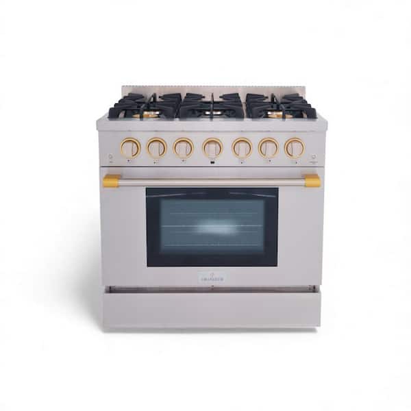 36 in. 6 Burner Freestanding Professional Gas Range
