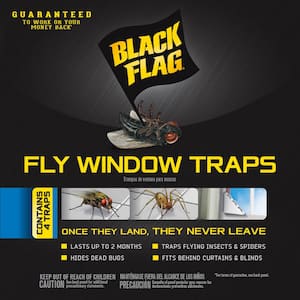 Fly Window Insect Trap (4-Count)