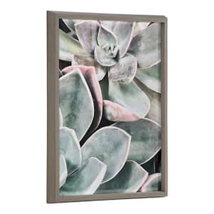 Blake Botanical Succulent Plants 1 by The Creative Bunch Studio Framed Printed Glass Nature Wall Art 24 in. x 18 in.