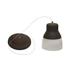 It's Exciting Lighting 24-LED Nickel 2.25-Watt Integrated LED Battery  Operated Ceiling Pendant with Frosted Glass Shade IEL-5778 - The Home Depot