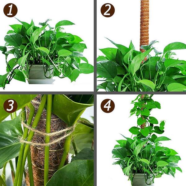 2 Pack 25 in. Moss Pole, Bendable Moss Pole for Plants Monstera