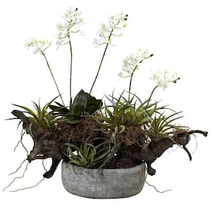 Artificial Orchid and Succulent Garden with Driftwood and Decorative Vase