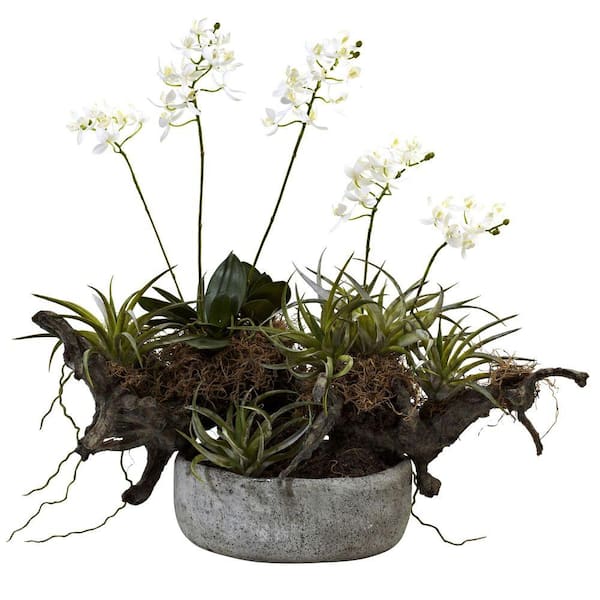 Nearly Natural Artificial Orchid and Succulent Garden with Driftwood and Decorative Vase