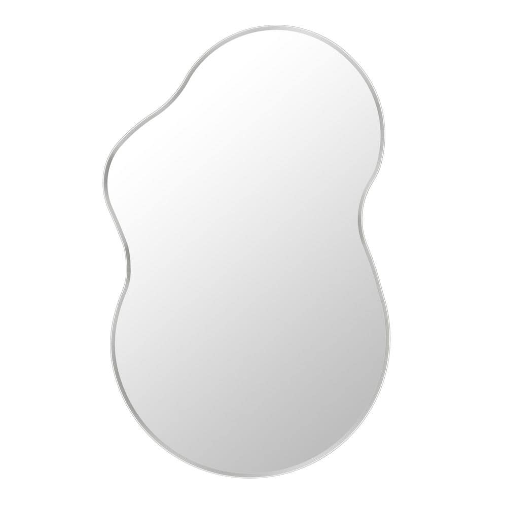 20 in.W x 36 in.H Novelty Framed French Cleat Wall Mounted Tempered Glass Bathroom Vanity Mirror in Brushed Silver price history on PriceWatchPro