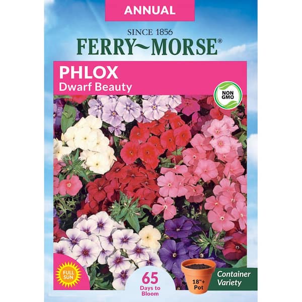 Ferry-Morse Phlox Dwarf Beauty Flower Seed