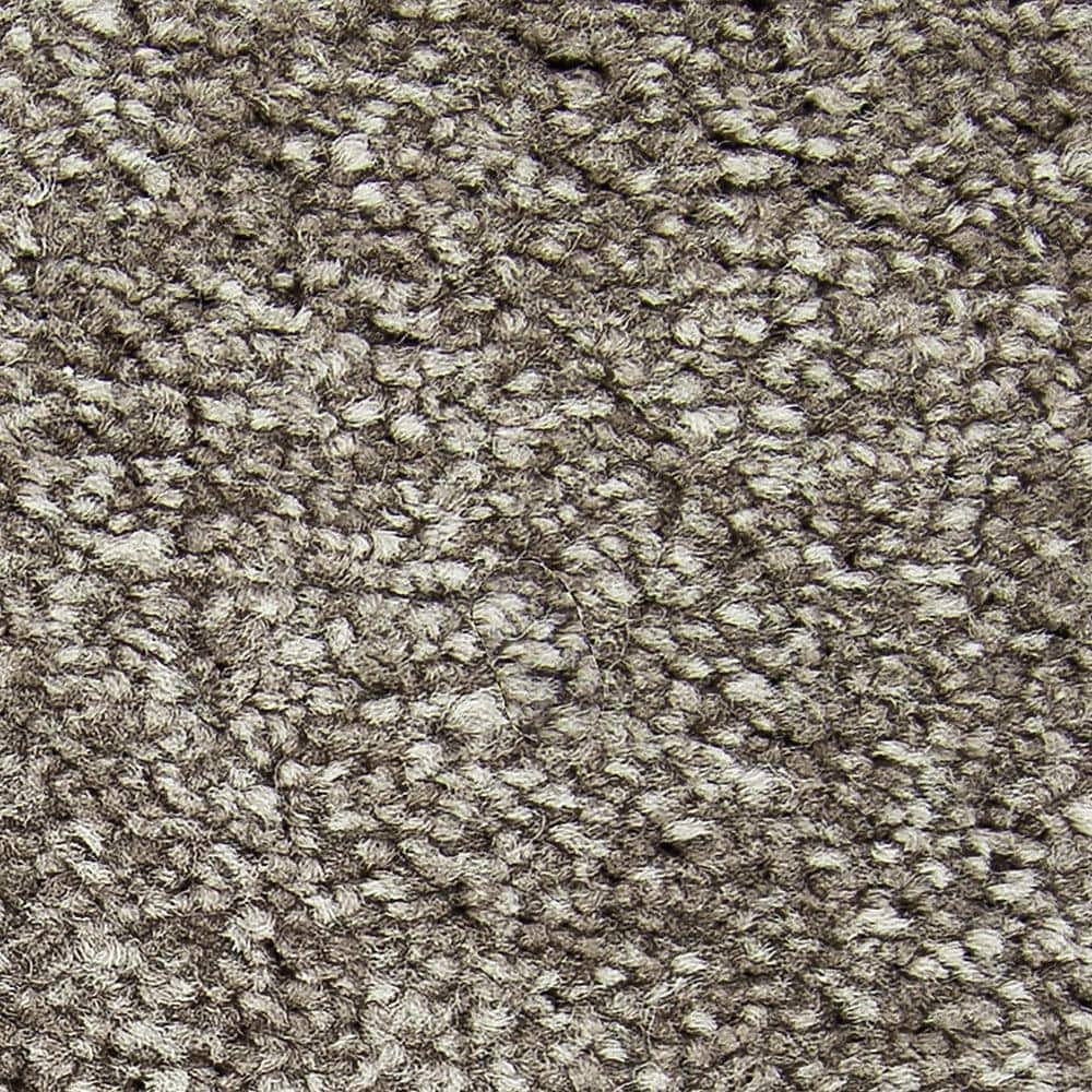 8 in. x 8 in. Texture Carpet Sample - Gentle Peace II -Color Heirloom price history on PriceWatchPro
