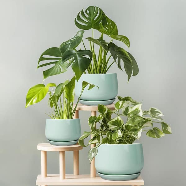 fluora led plant Fluora Floor Plant | Elevated Mood Lighting main image 1