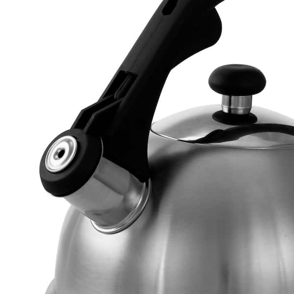 https://images.thdstatic.com/productImages/4a82b129-8c42-4700-8d61-d8c3ada51f7e/svn/stainless-steel-mr-coffee-tea-kettles-985100684m-44_600.jpg