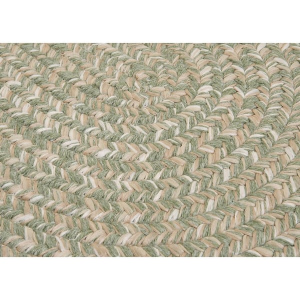 Wilshire Palm 5 ft. x 7 ft. Rectangle Braided Area Rug