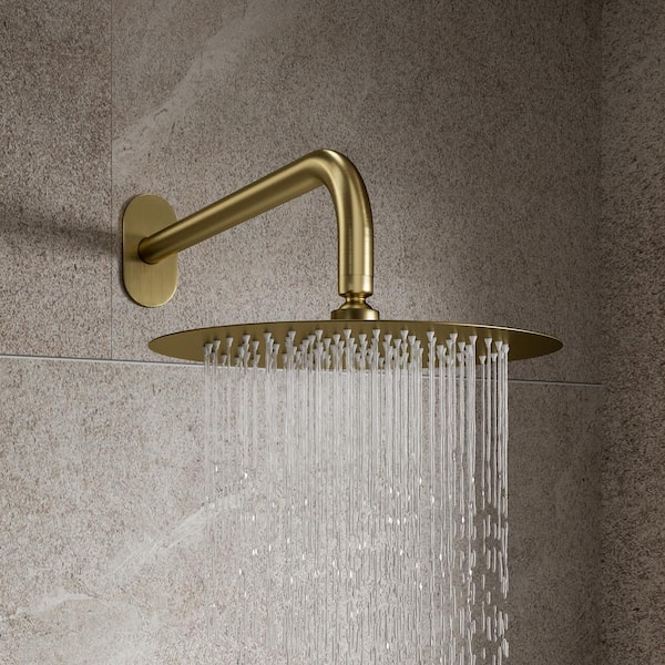 Single Handle 2-Spray Shower Faucet 2.5 GPM with Adjustable Heads Handheld and 10 in. Round Shower Head in Brushed Gold