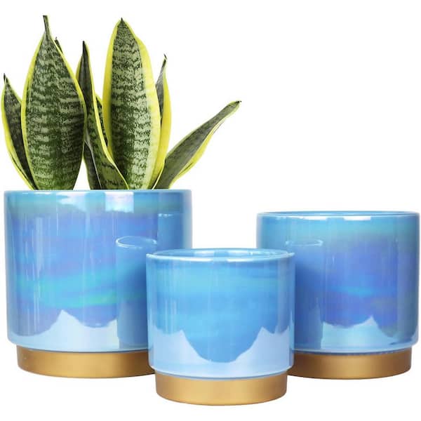 ITOPFOX Bohemian 5.5 in. L x 6 in. W x 6 in. H Blue Ceramic Round Indoor/Outdoor Planter (3-Pack)