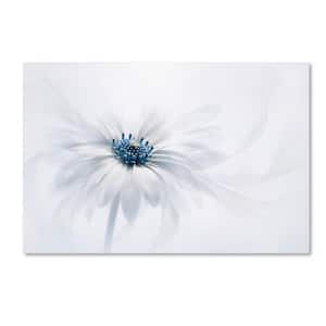 Trademark Fine Art 22 in. x 32 in. Serenity by Jacky Parker Canvas Wall ...