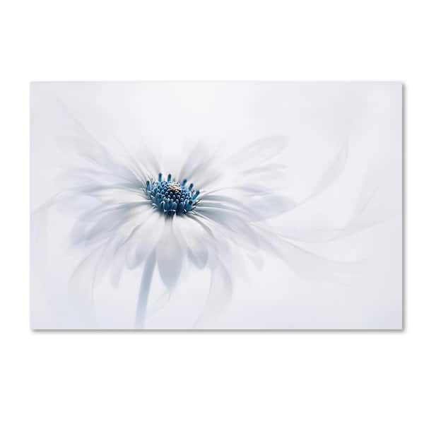 Trademark Fine Art 22 in. x 32 in. Serenity by Jacky Parker Canvas Wall Art Print