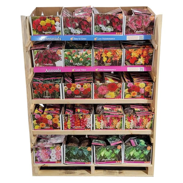 VAN ZYVERDEN N Promo Perennial 5S Bulb Rack 06109 - The Home Depot
