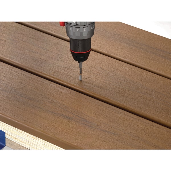 FastenMaster 2-1/2 in. Brown Torx Trim Head TrapEase Composite