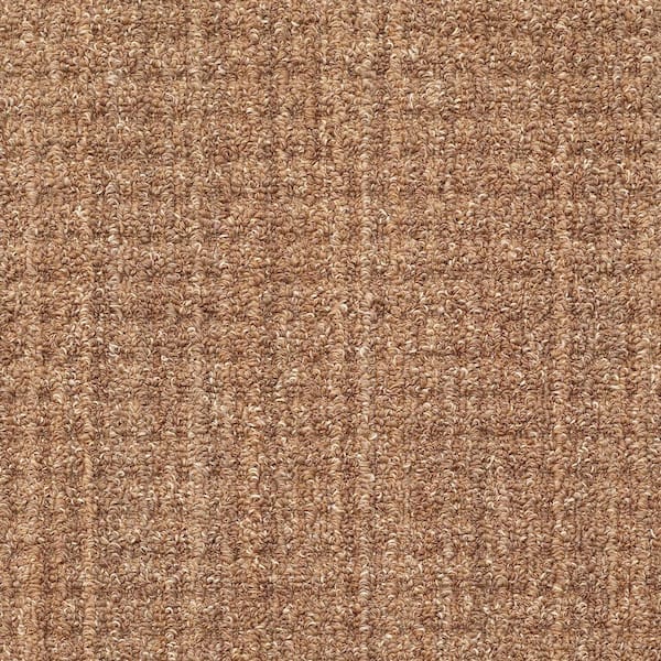 Lifeproof Sicily - Canyon - Brown 15 ft. 46.8 oz. SD Nylon Pattern Installed Carpet