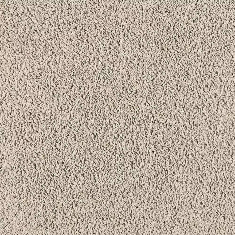 8 in. x 8 in. Texture Carpet Sample-Whisk & Whimsy I-Color Sandy Cove price history on PriceWatchPro