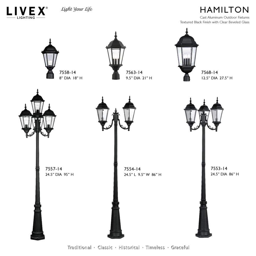 Hamilton Textured Black 3-Light Outdoor Pendant with Clear Beveled Glass