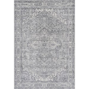 Modern Persian Vintage Medallion Light Gray/Ivory 3 ft. x 5 ft. Area Rug