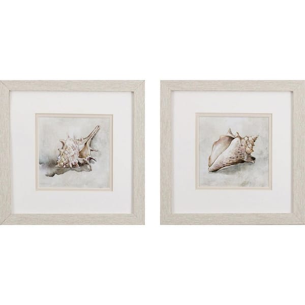 Paragon Seashell Textures by Robinson 2-Piece Framed Nature Poster 11 in. x 11 in.