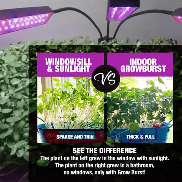 Pro LED Plant Grow Light Kit Indoor Garden Desktop USB Grow Lamp Greenhouse