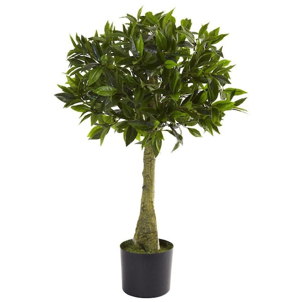 Photo 1 of 3 ft. Artificial UV Resistant Indoor/Outdoor Bay Leaf Topiary