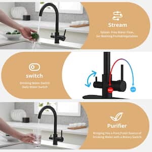 Single Hole Double Handle Water Filter Purifier Faucets Standard Kitchen Faucet Water Filtration System in Matte Black
