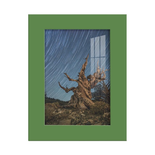Wexford Home Modern 3.5in. x 5in. Green Picture Frame