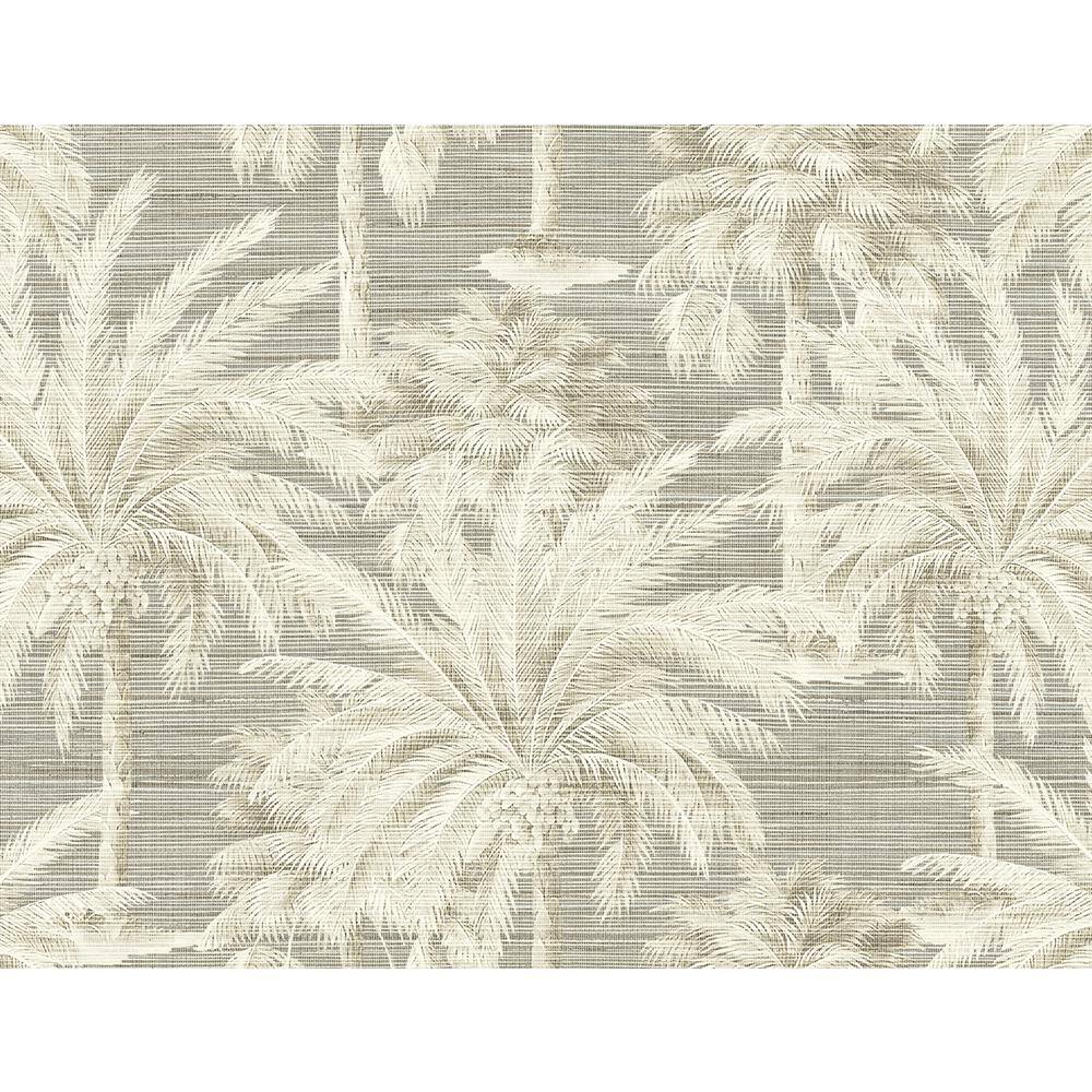 Dream of Palm Trees Grey Textured Grasscloth Wallpaper