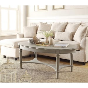 Mariana 50 in. Antique White Specialty Wood Coffee Table with Shelves