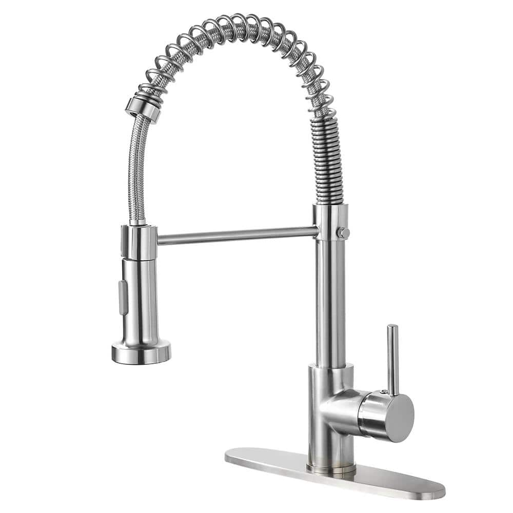 Zalerock Springs Single-Handle Pull-Down Sprayer Kitchen Faucet with ...