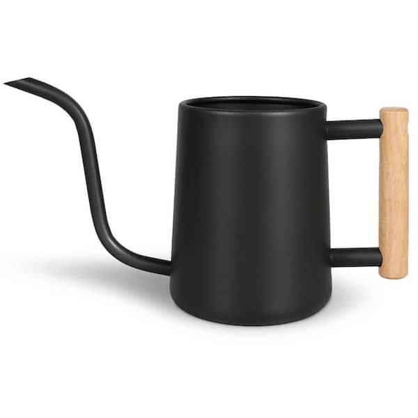 35 oz. Stainless Steel Watering Can with Long Spout for House Plants Outdoor Garden Flower Decorative, Black