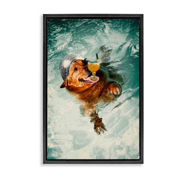 Stupell Industries Disco Dog in Pool by Graffi*tee Studios Black Floater Frame Animal Graphic Art Print 25 in. x 17 in.