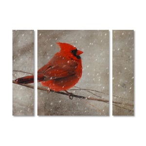 30 in. x 41 in. "Cardinal in Winter" by Lois Bryan Printed Canvas Wall Art