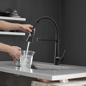 Single-Handle Pull-Down Sprayer Kitchen Faucet 360 degree swivel sprayer in Matte Black