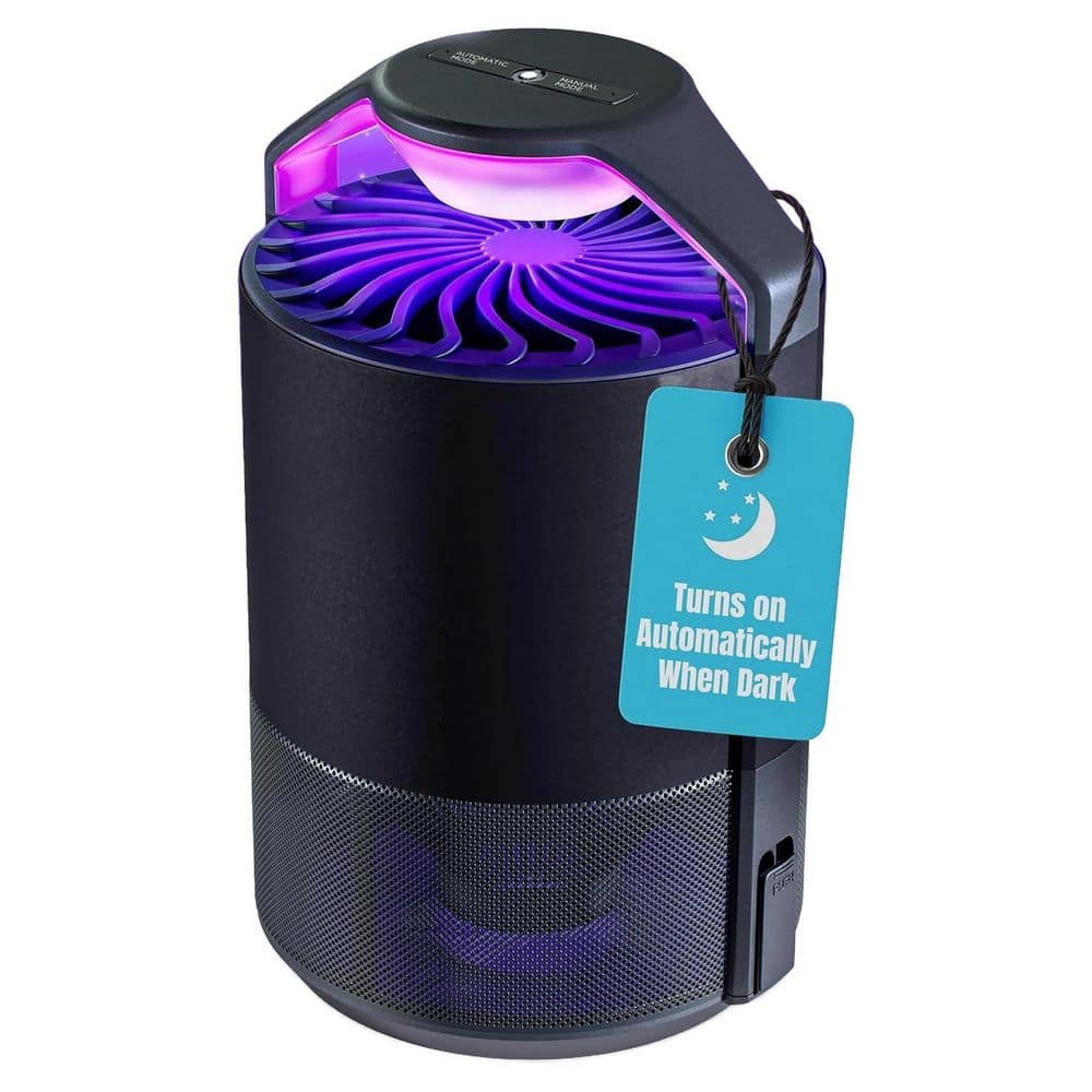 black-misopily-insect-traps-