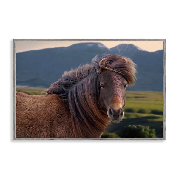 Stupell Industries Windblown Mare in Mountain Valley by Steve Toole Gray Framed Animal Giclee Art Print 12 in. x 18 in.