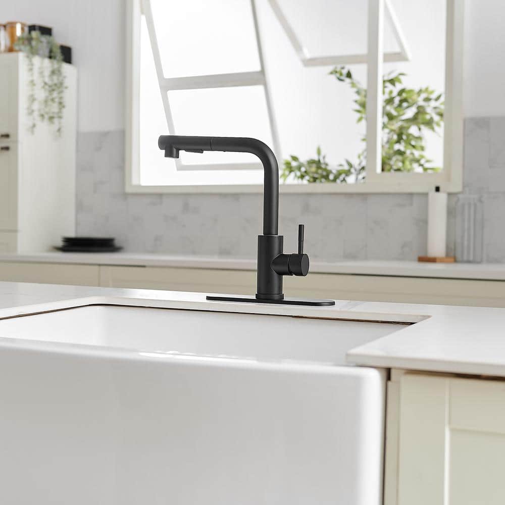 Matte Black Stainless Steel Pull-Out Spray Kitchen Faucet