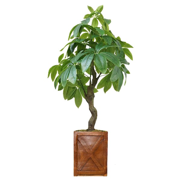 Laura Ashley 37 in. Artificial Pachira Aquatica Real Touch, Indoor/Outdoor in Fiber Stone Planter