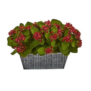 14 in. Kalanchoe Artificial Plant in Black Embossed Planter