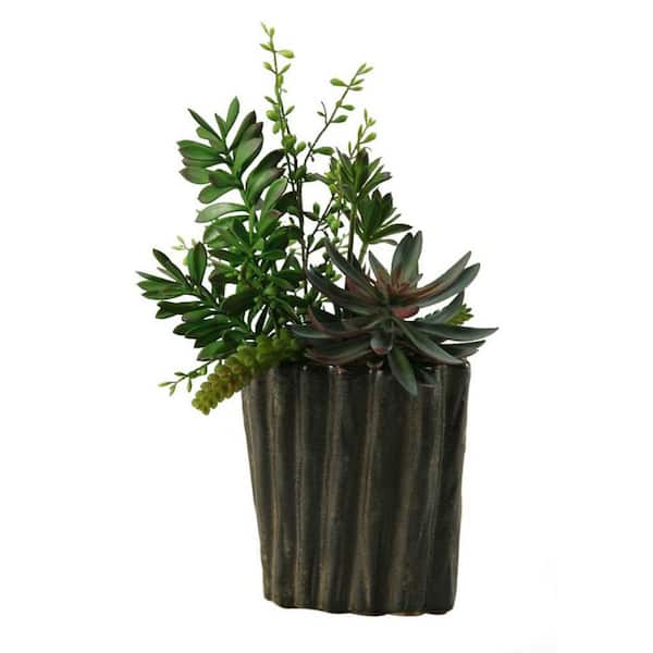 19 in. Indoor Aloe and Dracaena Head Artificial Plant in Oval Ceramic Planter-Realistic Succulent Home Decor Accent