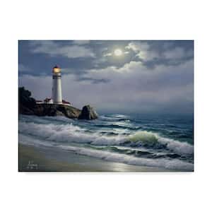 14 in. x 19 in. Coastal Scene 3 by Anthony Casay Floater Frame Nature Wall Art