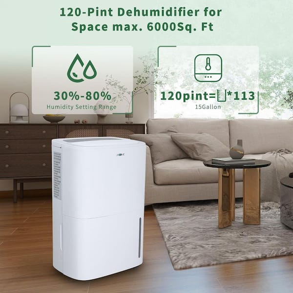 120-Pint Dehumidifier for 6,000 sq. ft. White, with, Drain Hose, Bucket, Auto Defrost, Timer, for Basement or Garage