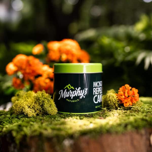 バディファイト クロノス リヒトムーヴメント 4枚セット MURPHY'S NATURALS 9oz Mosquito Repellent Citronella Candle NB